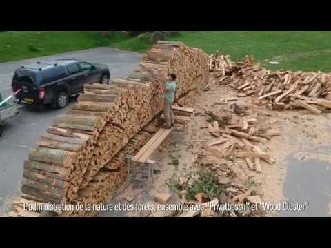 Administration de la nature et des forêt