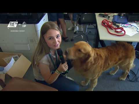 Backoffice Surprise