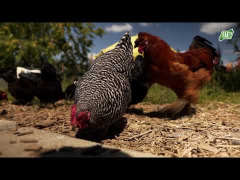 Bio-Lëtzebuerg – Daniela Noesen-Steiger