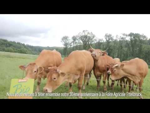 Bio Lëtzebuerg