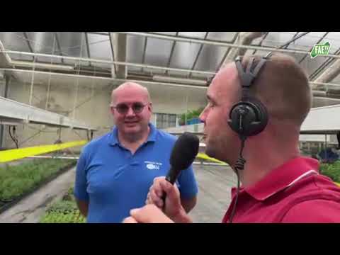 Jongplanzenproduktioun – Claude Kirsch