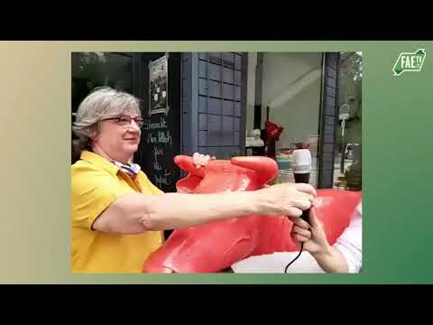 Live Ettelbruck – Électricité Stoos