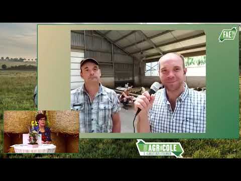 Live Landwirtschaft – Almo Agri 2