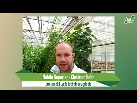 Live Landwirtschaft – Lycée Technique Agricole