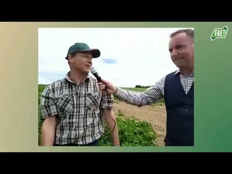 Live SSL – Gromperen – Kartoffelbau Redingshaff