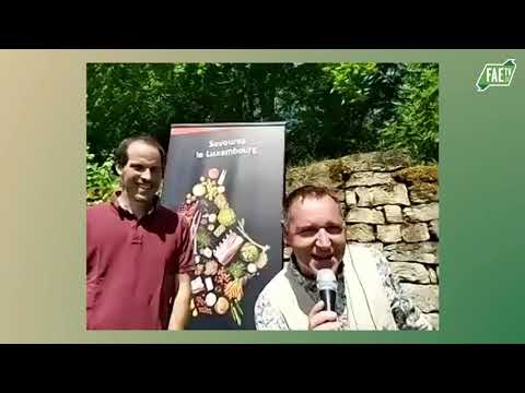 Live SSL – Tudorsgeeschter