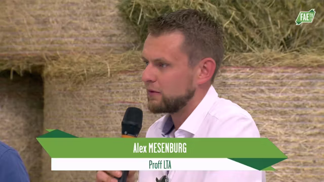 Mesenburg a Beck