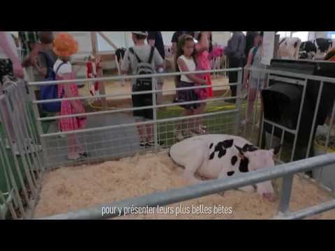 Présentation CONVIS