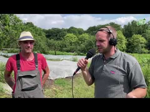 Terra Solidarisch Landwirtschaft